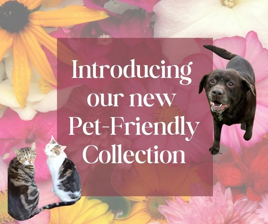 Pet-Friendly Liverpool Flower Delivery - Blooms for a Safe and Happy Home